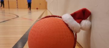 20221220_Ballflöhe Weihnachten (9)