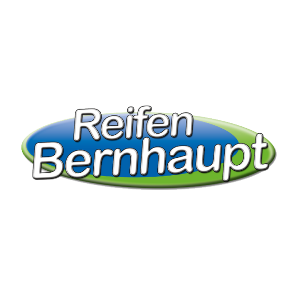 Bernhaupt1