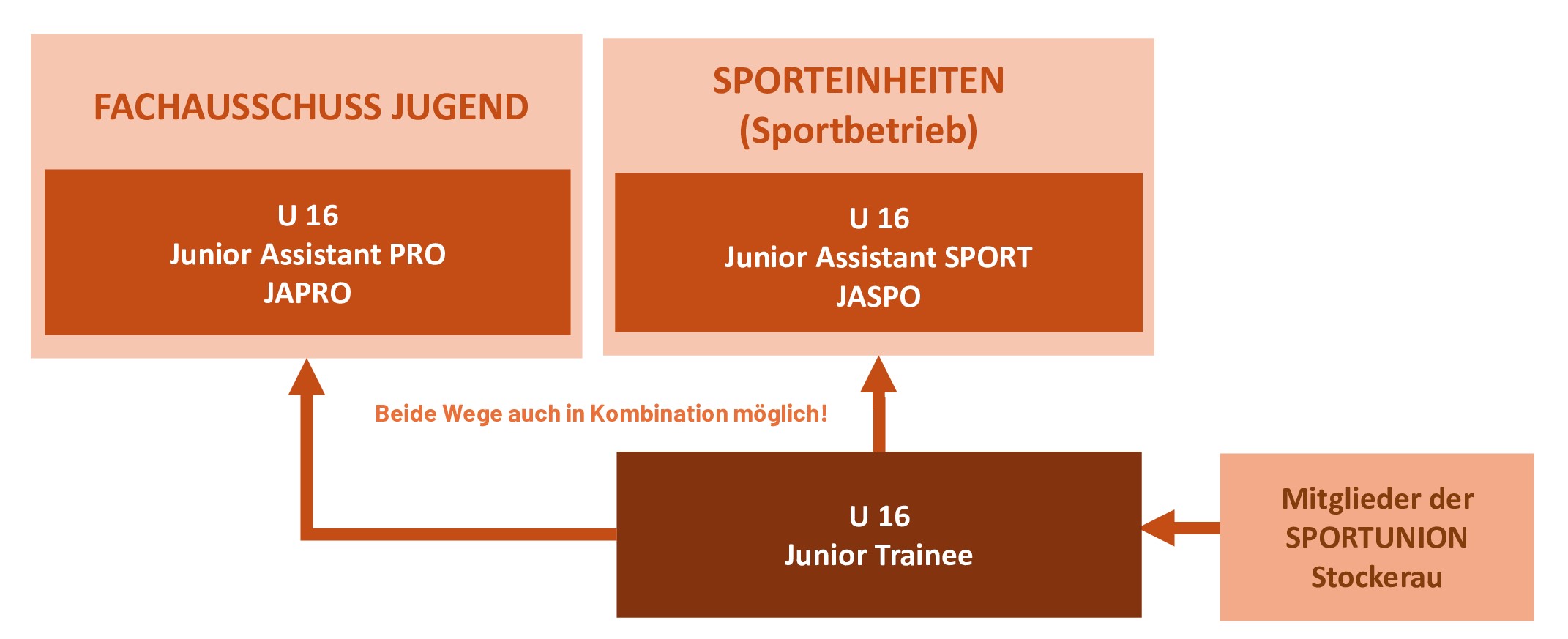 Junior-Ausbildungssystem