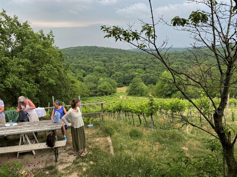 Wanderung-20210624Traubengarten-7