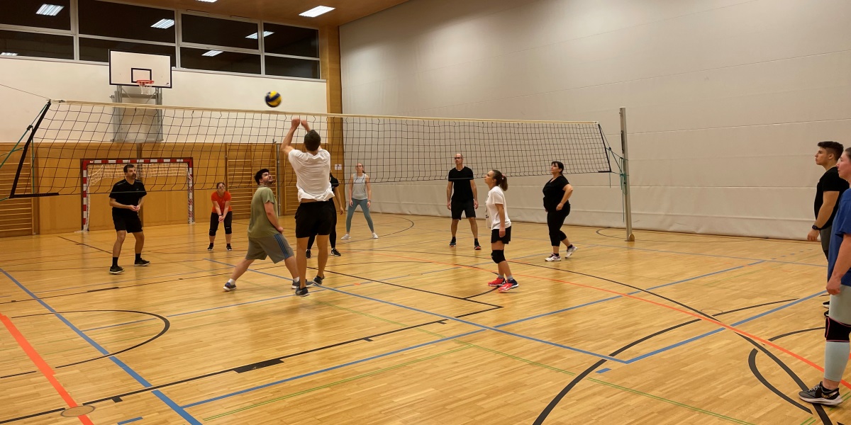 volleyball (9)